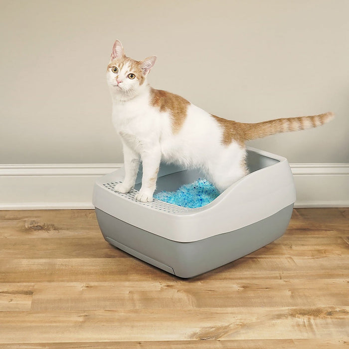 PetSafe Deluxe Crystal Litter Box System (& Accessories) - Jeffers - Cat Supplies > Cat Litter Boxes