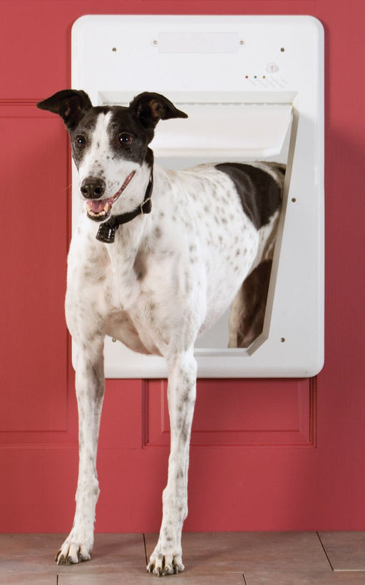 PetSafe Electronic Smart Door - Jeffers - Animal & Pet Supplies > Pet Doors