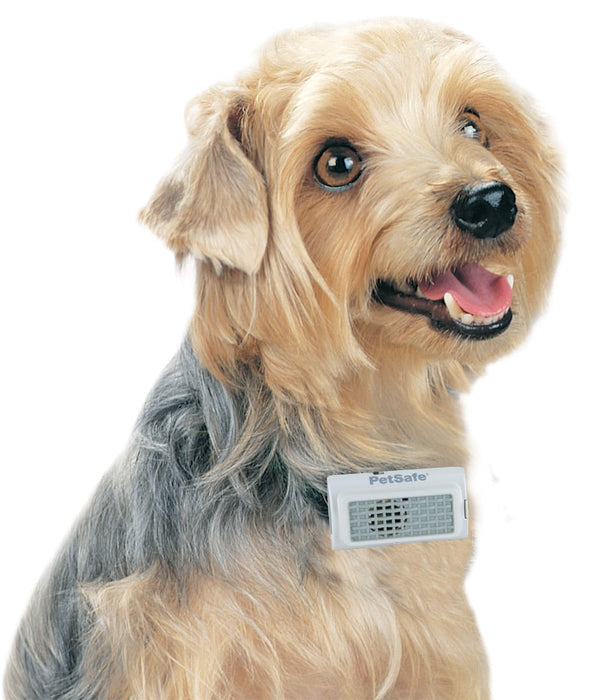 PetSafe Ultrasonic Bark Control Collar - Jeffers - Animal & Pet Supplies > Pet Training Aids