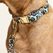 Pink Papyrus Beckett Collar, Leopard - Jeffers - Dog Supplies > Dog Apparel > Dog Collars, Harnesses, & Leashes