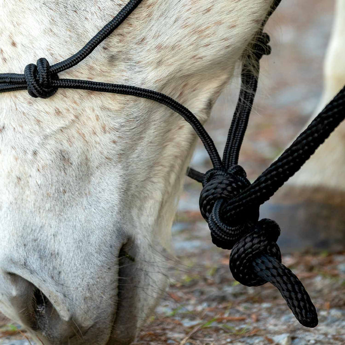 Poly Braided Rope Horse Halter with Lead - Jeffers - Horse Supplies > Horse Tack > Horse Halters