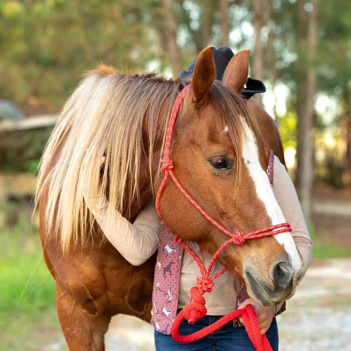 Poly Braided Rope Horse Halter with Lead - Jeffers - Horse Supplies > Horse Tack > Horse Halters