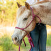 Poly Braided Rope Horse Halter with Lead - Jeffers - Horse Supplies > Horse Tack > Horse Halters