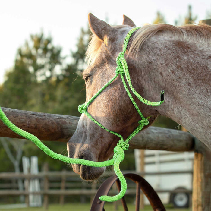 Poly Braided Rope Horse Halter with Lead - Jeffers - Horse Supplies > Horse Tack > Horse Halters