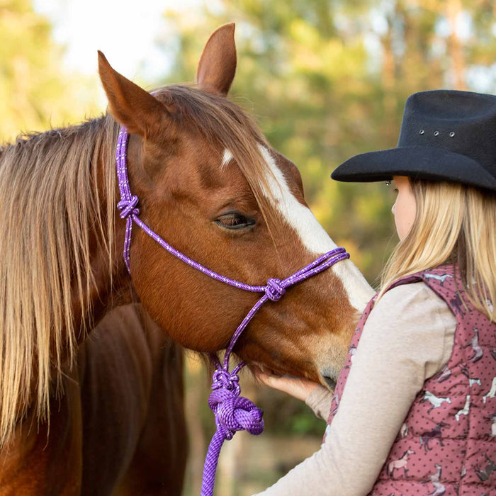 Poly Braided Rope Horse Halter with Lead - Jeffers - Horse Supplies > Horse Tack > Horse Halters