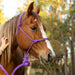 Poly Braided Rope Horse Halter with Lead - Jeffers - Horse Supplies > Horse Tack > Horse Halters