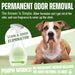 Pooph Lawn, Garden & Turf Odor Eliminator - Jeffers - Animal & Pet Supplies > Pet Odor & Stain Removers