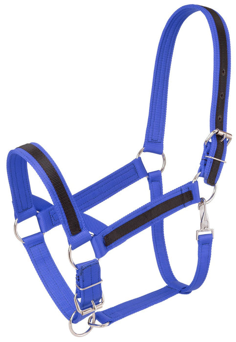 Premium Nylon Draft Halter With Overlay - Jeffers - Horse Supplies > Horse Tack > Horse Halters