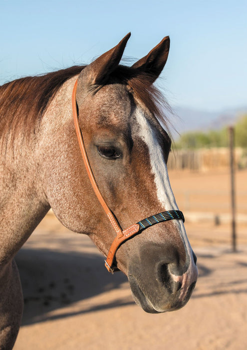 Professional's Choice Al Dunning Harness Leather Ultimate Cavesson - Jeffers - Horse Supplies > Horse Tack > Bridles & Headstalls