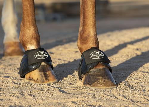 Professional's Choice Spartan II Bell Boots - Jeffers - Horse Supplies > Horse Boots & Leg Wraps