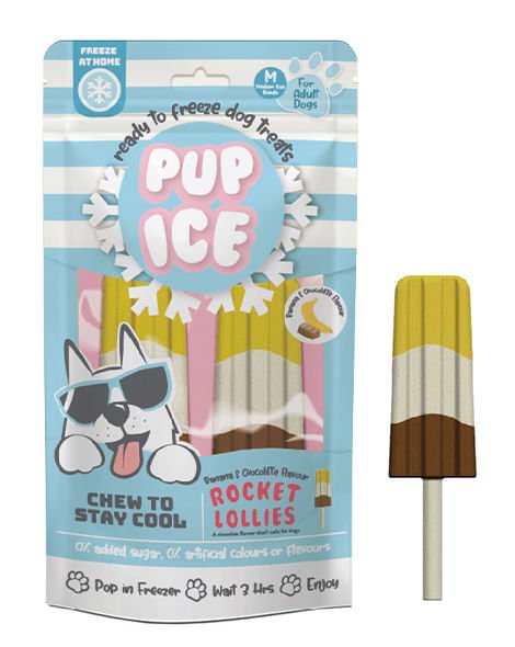 Pup Ice Rocket Lollies, 2pk - Jeffers - Dog Supplies > Dog Treats