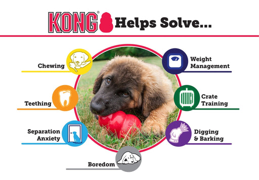 Puppy KONG - Jeffers - Dog Supplies > Dog Toys