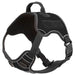 Quest Multi - Purpose Harness, Large - Jeffers - Dog Supplies > Dog Apparel > Dog Collars, Harnesses, & Leashes