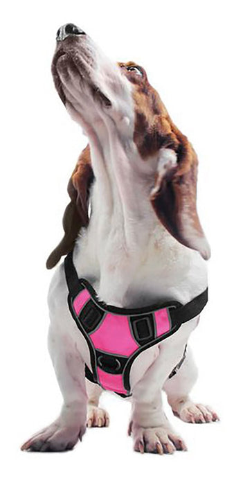 Quest Multi - Purpose Harness, Large - Jeffers - Dog Supplies > Dog Apparel > Dog Collars, Harnesses, & Leashes