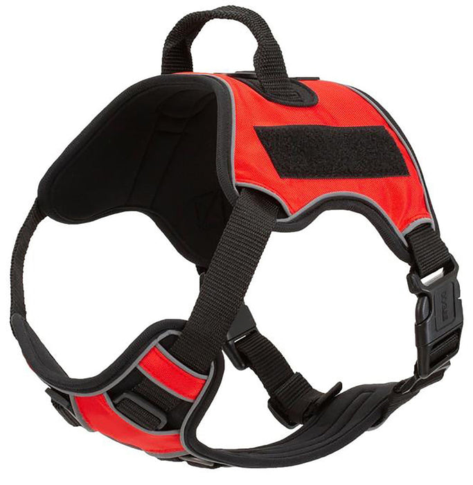 Quest Multi - Purpose Harness, Medium - Jeffers - Dog Supplies > Dog Apparel > Dog Collars, Harnesses, & Leashes