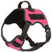 Quest Multi - Purpose Harness, Medium - Jeffers - Dog Supplies > Dog Apparel > Dog Collars, Harnesses, & Leashes