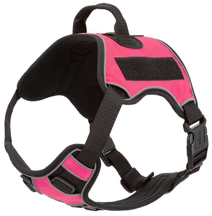 Quest Multi - Purpose Harness, Small - Jeffers - Dog Supplies > Dog Apparel > Dog Collars, Harnesses, & Leashes