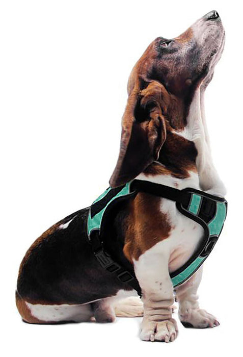 Quest Multi - Purpose Harness, Small - Jeffers - Dog Supplies > Dog Apparel > Dog Collars, Harnesses, & Leashes