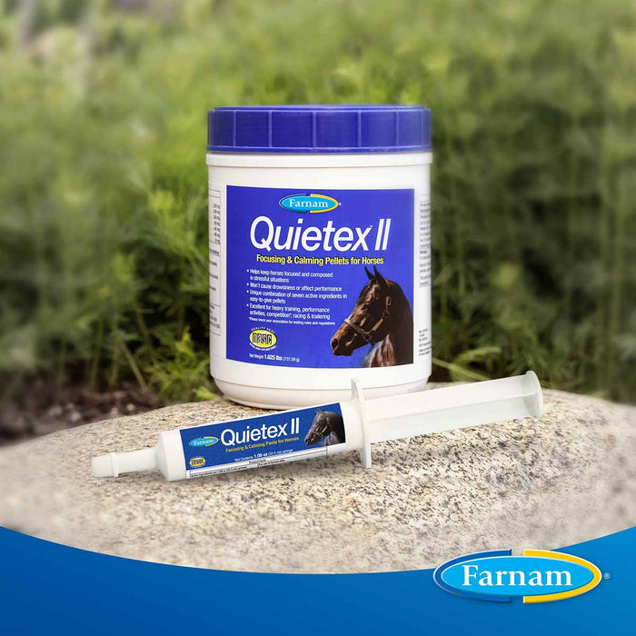 Quietex II - Jeffers - Animal Health & Wellness > Vitamins & Supplements