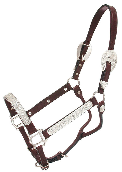 Raised Oval Horse Show Halter - Jeffers - Horse Supplies > Horse Tack > Horse Halters