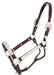 Raised Oval Horse Show Halter - Jeffers - Horse Supplies > Horse Tack > Horse Halters