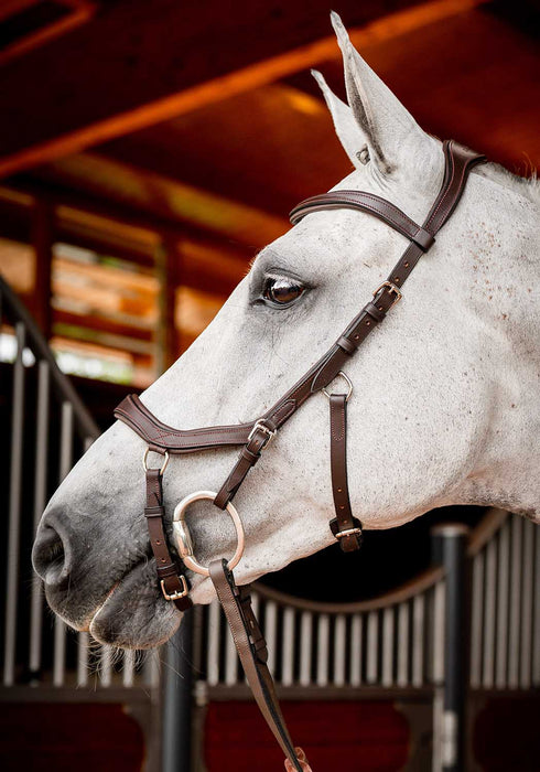 Rambo 2.0 Micklem Competition Bridle, Havana - Jeffers - Horse Supplies > Horse Tack > Bridles & Headstalls