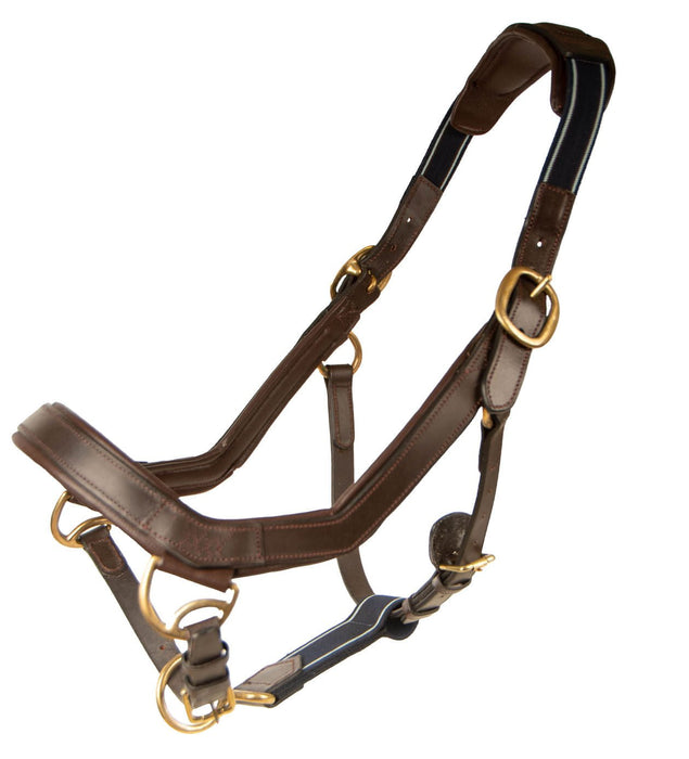 Rambo Micklem Leather Horse Halter - Jeffers - Horse Supplies > Horse Tack > Horse Halters