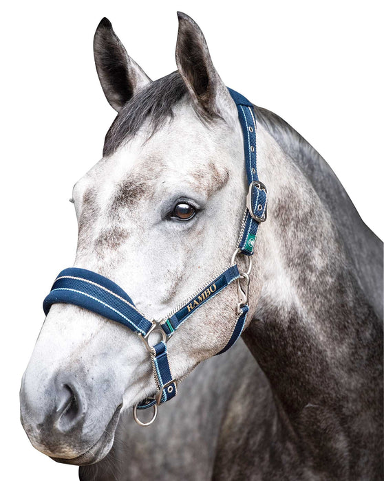 Rambo Padded Halter, Witney Navy - Jeffers - Horse Supplies > Horse Tack > Horse Halters