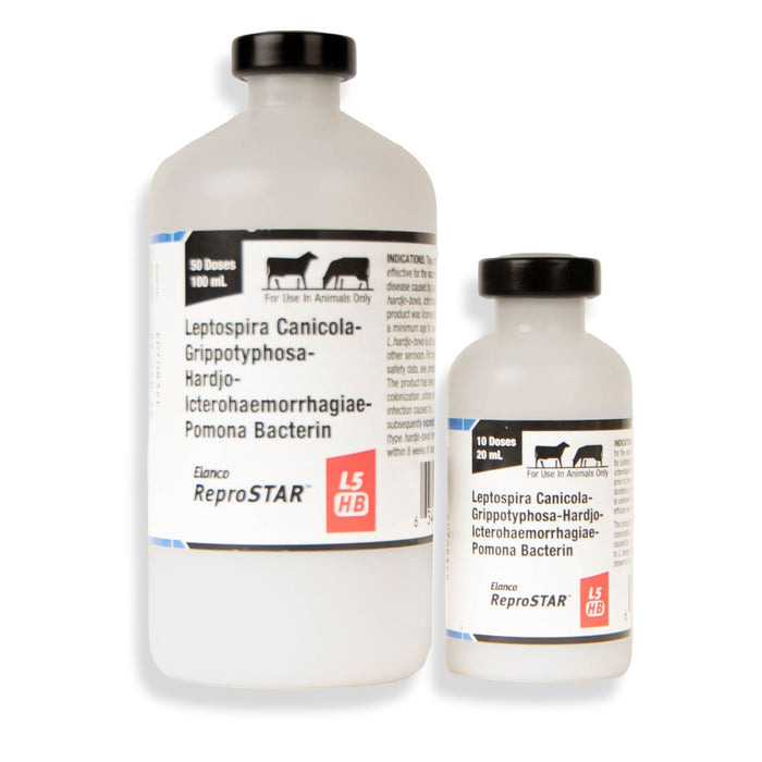 ReproSTAR L5 HB - Jeffers - Animal Health & Wellness > Vaccines