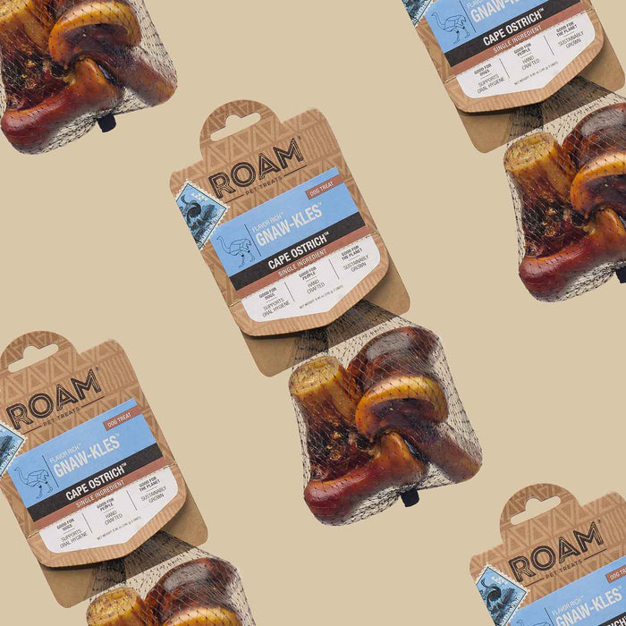 Roam Dog Treats Gnawkle Cape Ostrich - Jeffers - Dog Supplies > Dog Treats > Bones