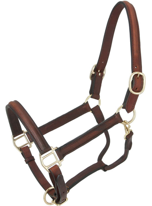 Royal King Raised Leather Halter - Jeffers - Horse Supplies > Horse Tack > Horse Halters