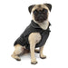 North Country Coat - Jeffers - Dog Supplies > Dog Apparel