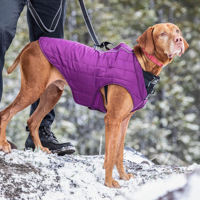 Kurgo Reversible Loft Jacket - Jeffers - Dog Supplies > Dog Apparel