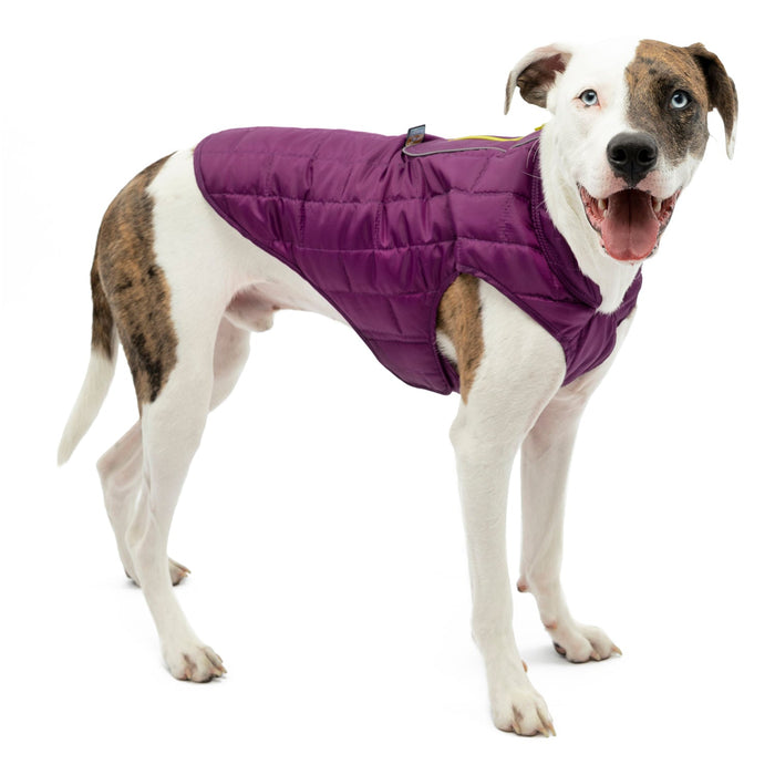 Kurgo Reversible Loft Jacket - Jeffers - Dog Supplies > Dog Apparel