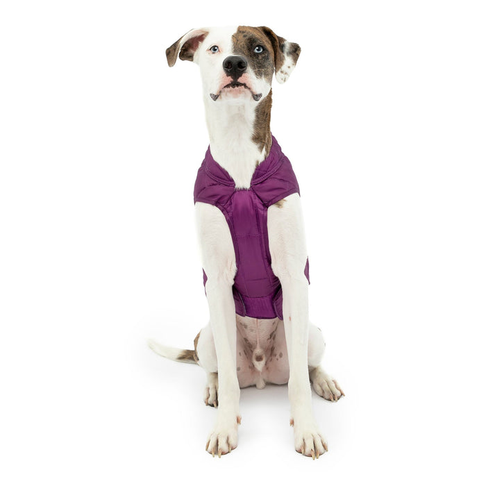 Kurgo Reversible Loft Jacket - Jeffers - Dog Supplies > Dog Apparel