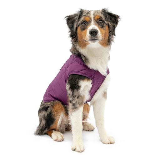 Kurgo Reversible Loft Jacket - Jeffers - Dog Supplies > Dog Apparel