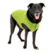 Kurgo K9 Core Sweater - Heather Green XLarge 