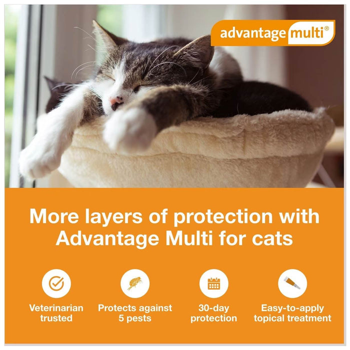 Rx Advantage Multi for Cats - Jeffers - Animal Health & Wellness > Flea & Tick Control