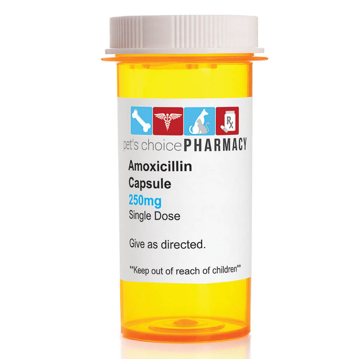 Rx Amoxicillin Capsules - Jeffers - Animal Health & Wellness > Medicine