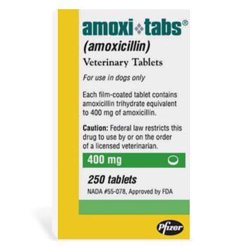 Rx Amoxicillin Tablets - Jeffers - Animal Health & Wellness > Medicine