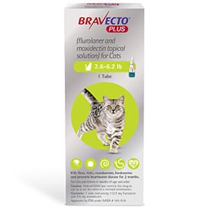 Rx BRAVECTO Plus Topical Cat - Jeffers - Animal Health & Wellness > Flea & Tick Control