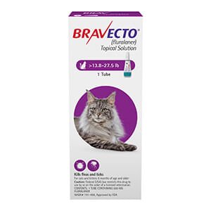 Rx BRAVECTO Topical Feline - Jeffers - Animal Health & Wellness > Flea & Tick Control