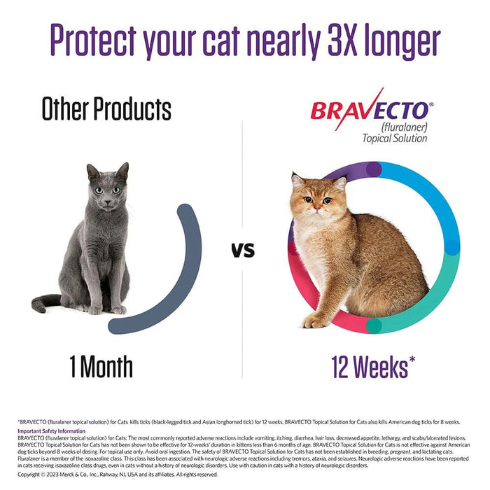 Rx BRAVECTO Topical Feline - Jeffers - Animal Health & Wellness > Flea & Tick Control