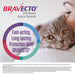 Rx BRAVECTO Topical Feline - Jeffers - Animal Health & Wellness > Flea & Tick Control