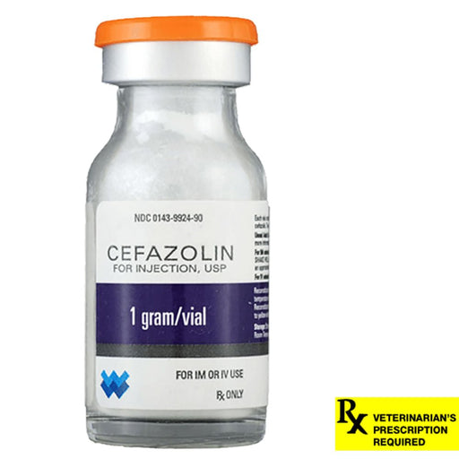 Rx Cefazolin, 1 gm Vial - Jeffers - Animal Health & Wellness > Medicine