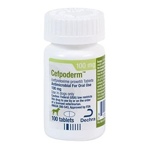 Rx Cefpodoxime Tablet - Jeffers - Animal Health & Wellness > Medicine