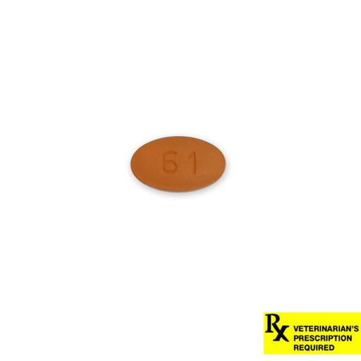 Rx Cefpodoxime Tablet - Jeffers - Animal Health & Wellness > Medicine