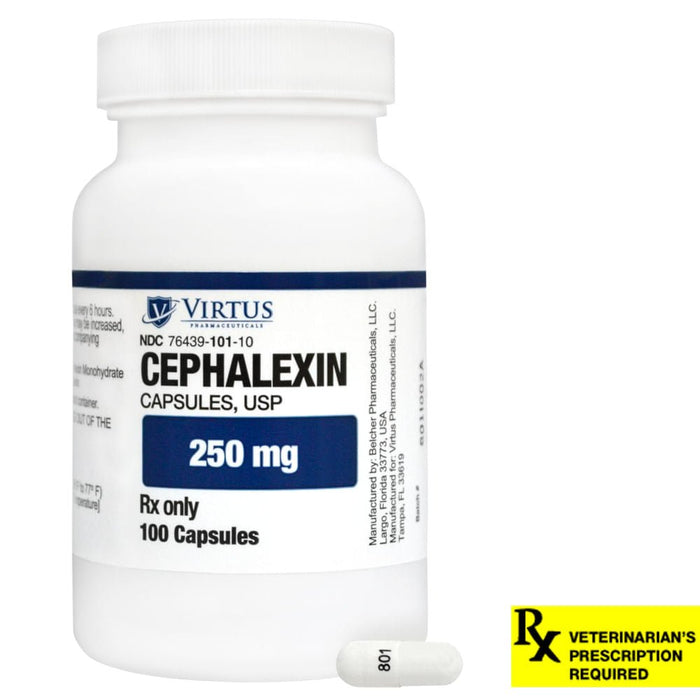 Rx Cephalexin Capsule - Jeffers - Animal Health & Wellness > Medicine