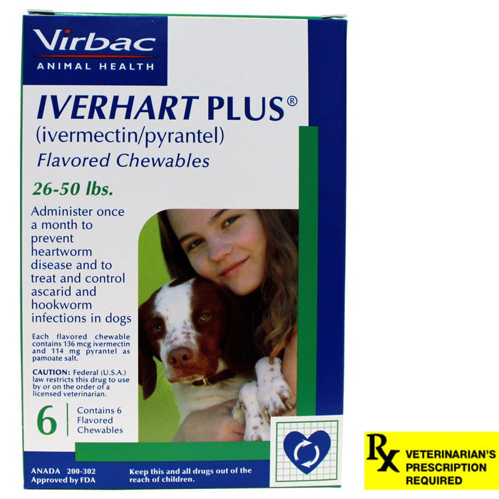 Rx Iverhart Plus, 6 Month - Jeffers - Animal Health & Wellness > Medicine