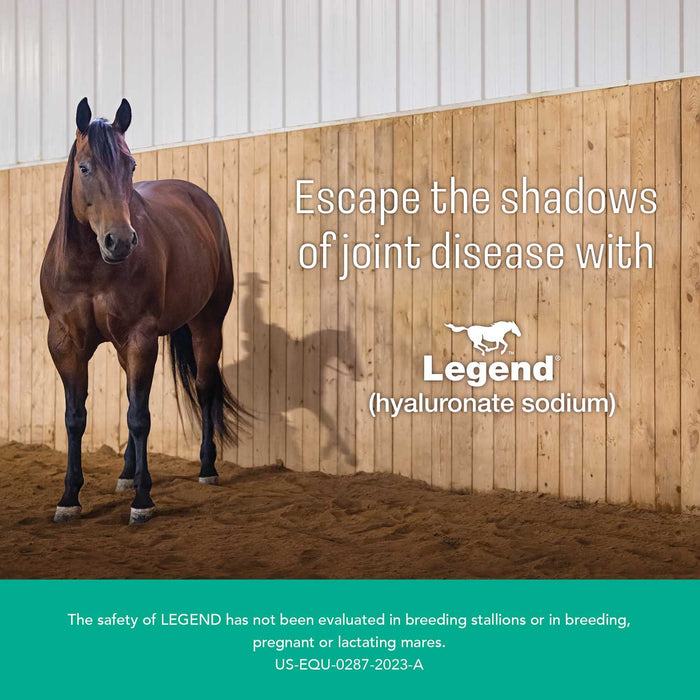 Rx Legend Injectable - Jeffers - Animal Health & Wellness > Joint Health